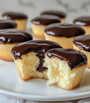Boston Cream Cupcakes