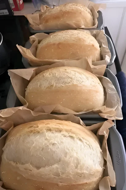 Easy No-Knead Sandwich Bread Recipee