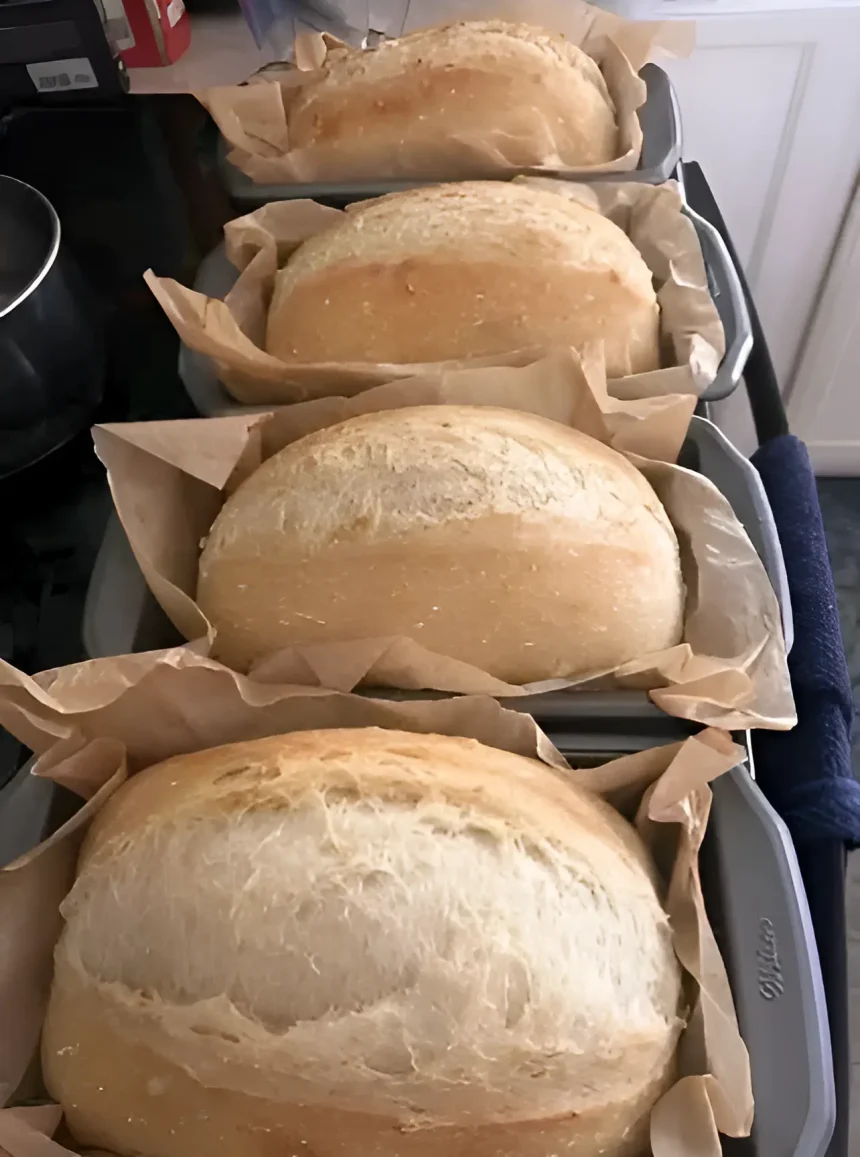 Easy No-Knead Sandwich Bread Recipee