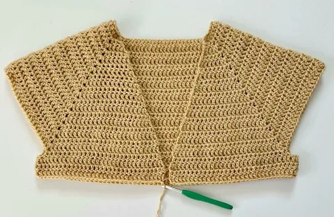 Free Crochet Cardigan Pattern for Beginners (Step-by-Step)