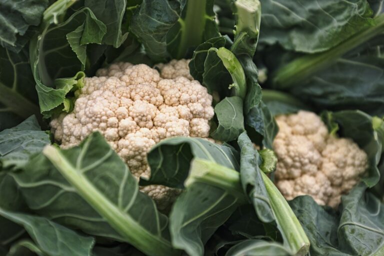 Crispy Air Fryer Bang Bang Cauliflower Bites